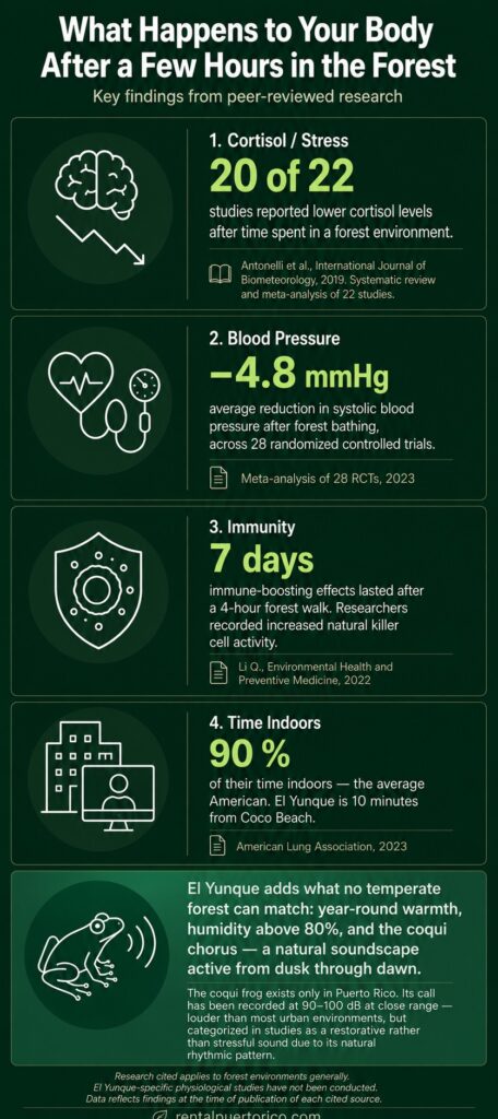 What Happens to Your Body After a Few Hours in the Forest